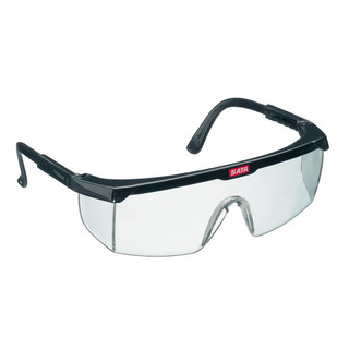 SATA protect, veiligheidsbril